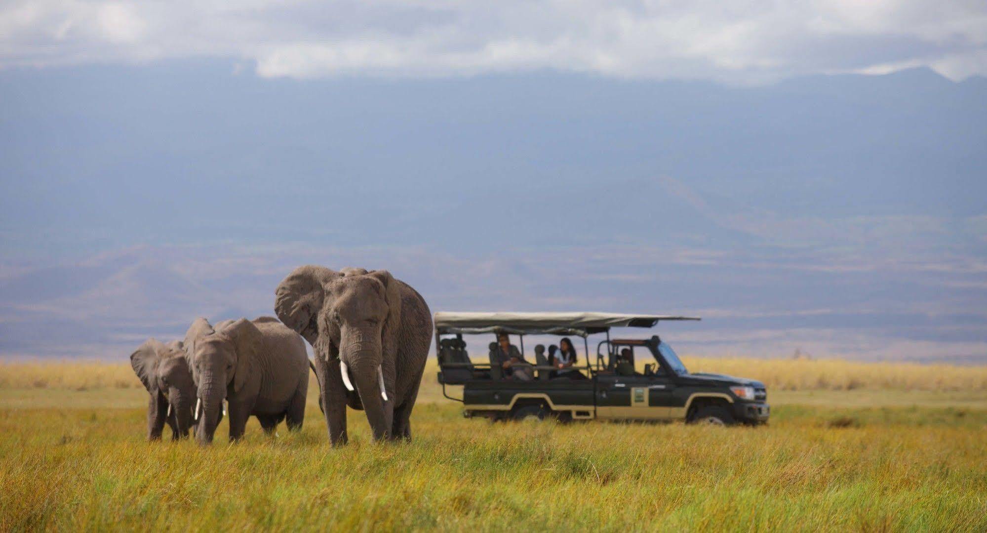 Elewana Tortilis Camp Hotel Amboseli Eksteriør billede